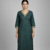 Bottle Green V- Neck Casual Wear