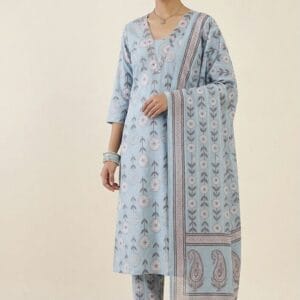 Light Blue Mul Cotton Printed Kurti Set